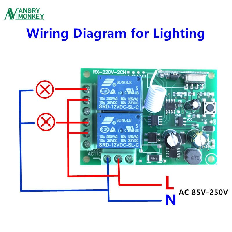 433Mhz Universal Wireless Remote Control Switch AC 250V 110V 220V 2CH Relay Receiver Module and 5pcs